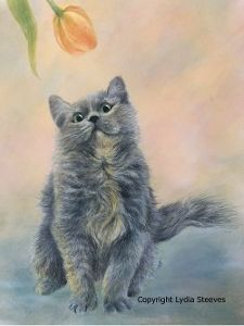 Jewel CP e-Packet and Video